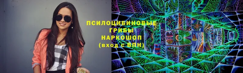 Псилоцибиновые грибы мухоморы  Богданович 